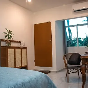 https://hostal-cuca-macuca.quintano-roohotels.com